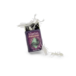 5 insectes phosphorescents