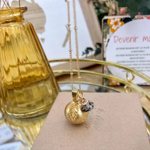 Bola de grossesse Japse Dalmatien