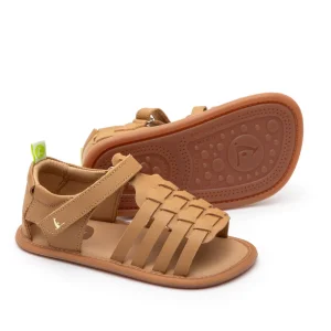 Tip Toey Joey Primeiros Athena Hay